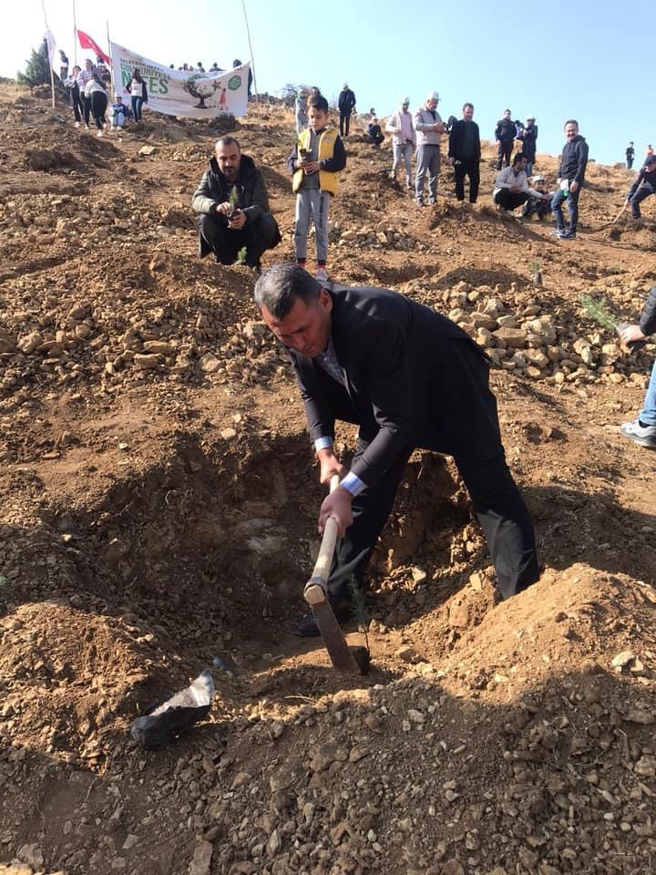 11 Kasım