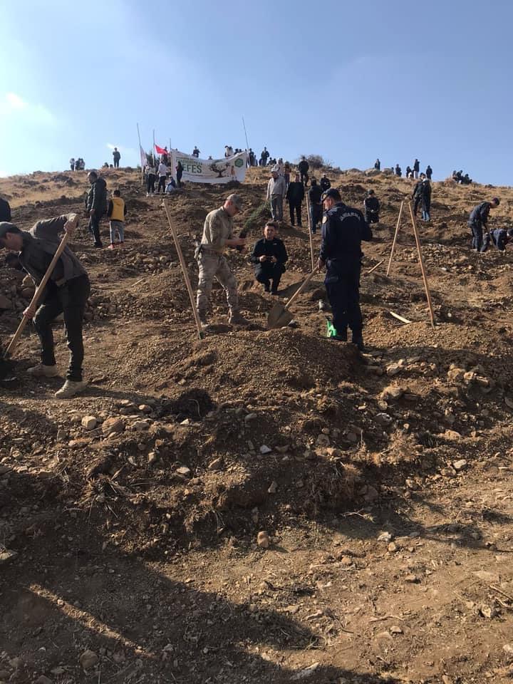 11 Kasım